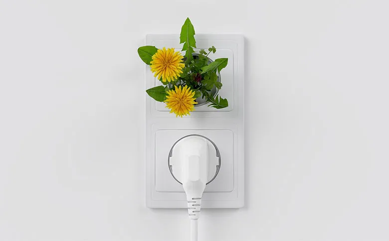 Eine weiße Steckdose, in die ein Kabel eingesteckt ist, wird mit Löwenzahnblüten und grünen Blättern dekoriert.