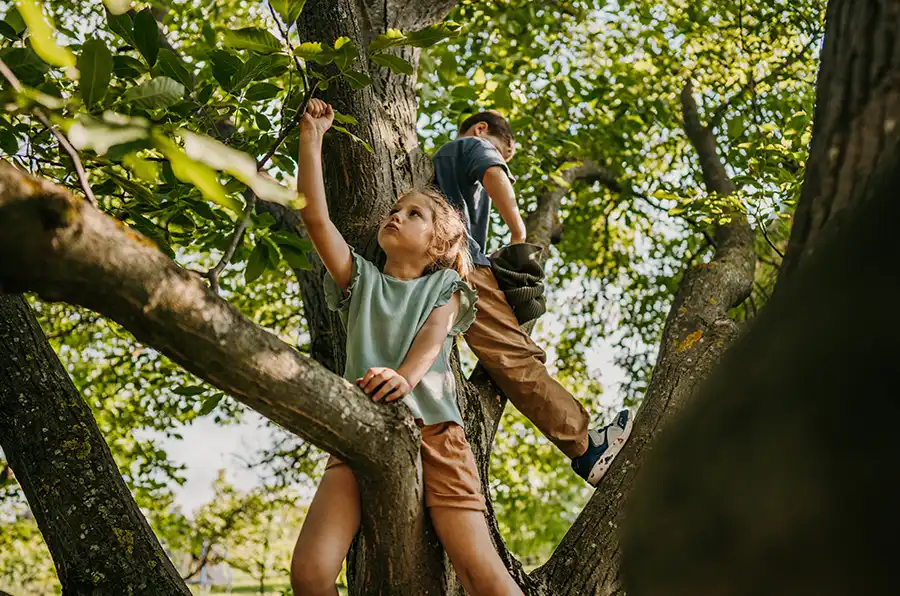Kinder klettern in einen Baum.