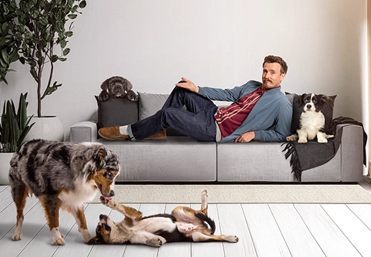 Ein entspannter Mann liegt auf dem Sofa mit mehreren Hunden um ihn herum.